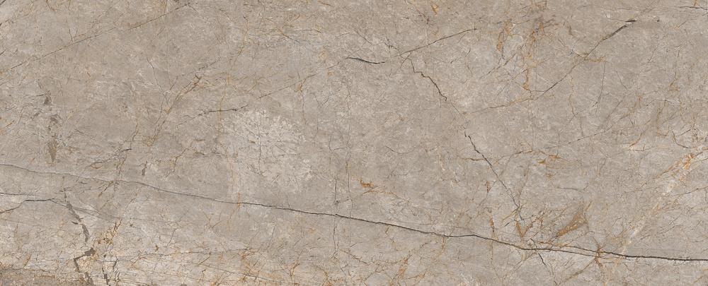 Картинка Cersanit Silver Roots, Керамогранит, 60x120 см