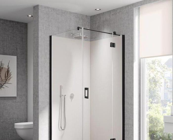 Боковая стенка - Kermi, Liga, 100x200 см, LI TWP 10020 3PK