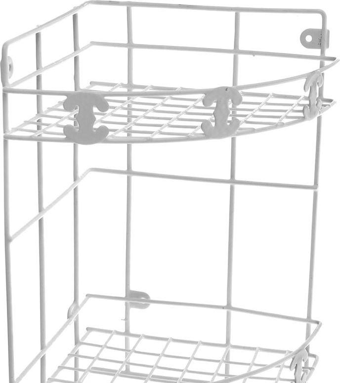 Aquanet 8000, Полка, 00199900