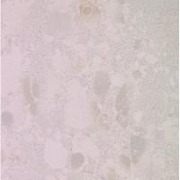 Leonardo Attitude, Керамогранит, 60x60 см