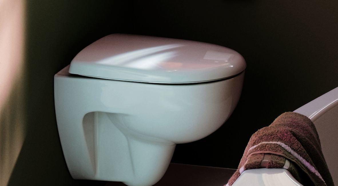 Geberit Renova, Унитаз подвесной, 500.800.00.1