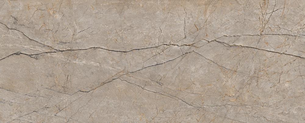 Картинка Cersanit Silver Roots, Керамогранит, 60x120 см