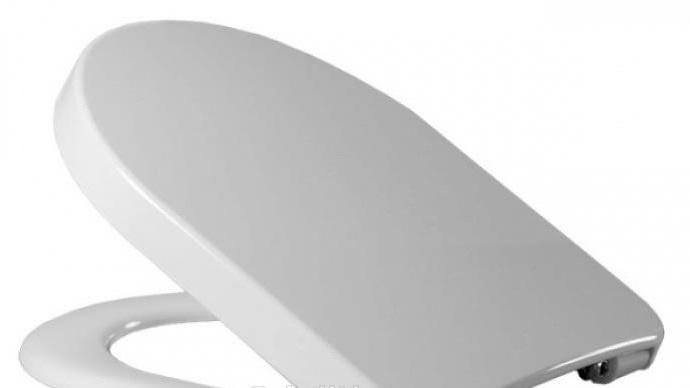 Roca Meridian-N, Унитаз подвесной, 346248000+543844