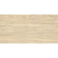 Baldocer Venice, Керамогранит, 60x120 см