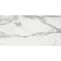 Baldocer Invictus, Керамогранит, 60x120 см