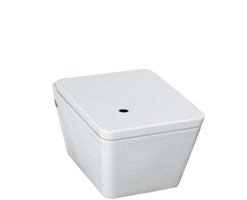 Laufen Alessi, Унитаз подвесной, 8.2090.0.400.000.1