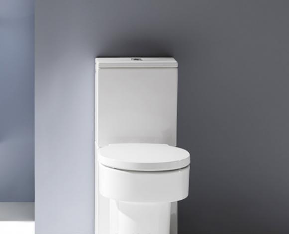 Laufen Val, Унитаз компакт, 8.2428.1.000.000.1