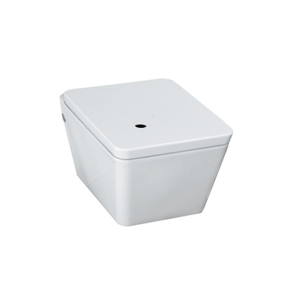 Laufen Alessi, Унитаз подвесной, 8.2090.0.400.000.1