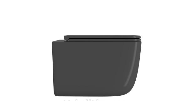 Point Меркурий, Унитаз подвесной, PN41831GM