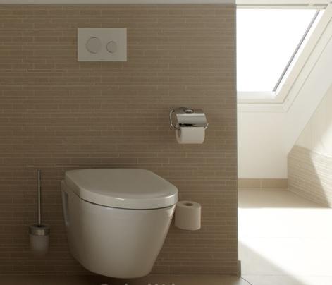 Toto NS, Унитаз подвесной, CW762Y