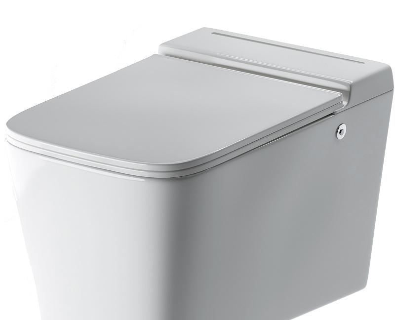 Grossman без коллекции, Унитаз подвесной, GR-5501 / GR-5501 impuls