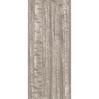 Atlas Boost Pro, Декор, 120x278 см