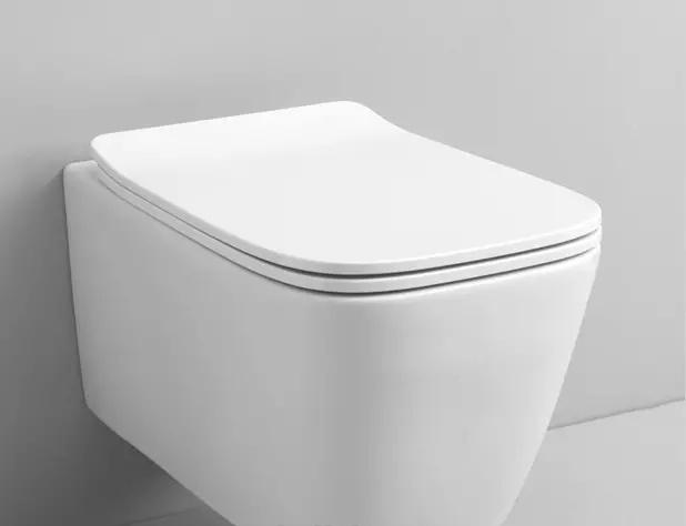 ArtCeram A16, Унитаз подвесной с инсталляцией и кнопкой, 700.101.03