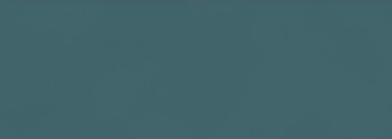 Atlas Boost Color, Настенная плитка, 50x120 см