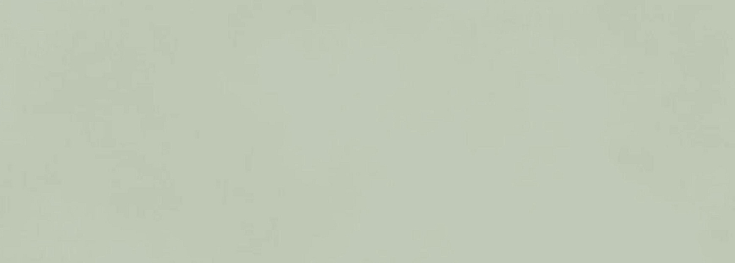 Atlas Boost Color, Настенная плитка, 50x120 см