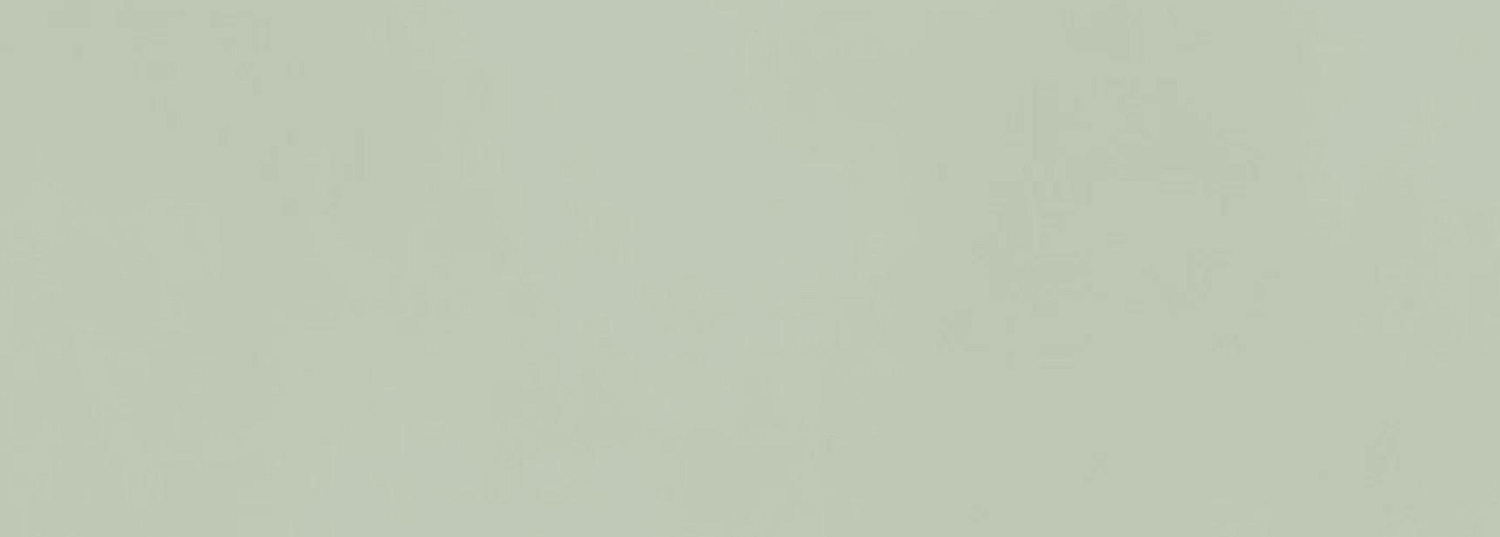 Atlas Boost Color, Настенная плитка, 50x120 см
